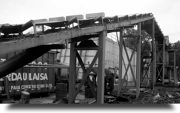 Transportadores